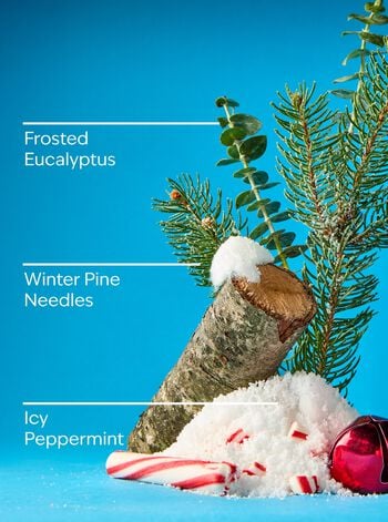 Frosted Forest Concentrated Room Spray Concentrated Room Spray