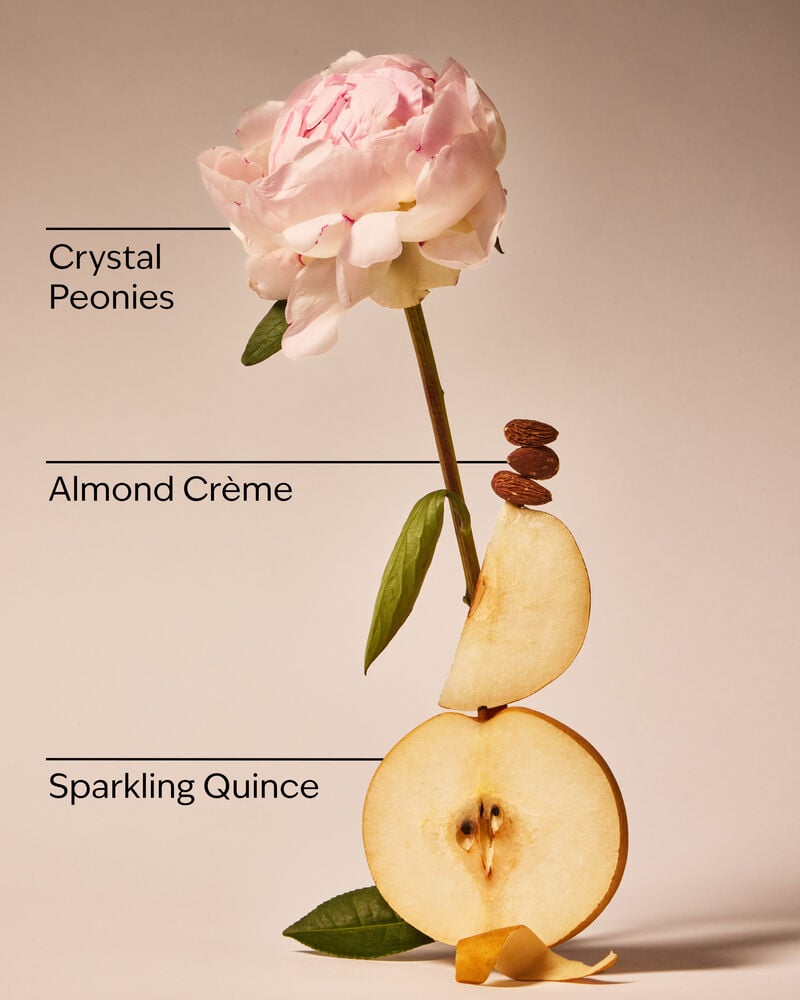 A Thousand Wishes Mini Gift Set Mini Gift Set