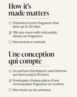 Coconut Linen Wallflowers Fragrance Refill image number null