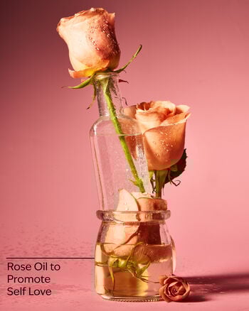Heirloom Rose Eau De Parfum 香水