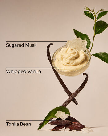 Wild Vanilla Travel Size Fine Fragrance Mist 旅行裝香氛噴霧