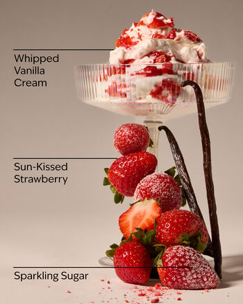 Strawberry Lover Wallflowers Fragrance Refill 香氛補充液