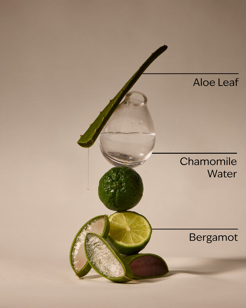 Fresh Rainfall Hand Sanitizer Spray 消毒搓手噴霧