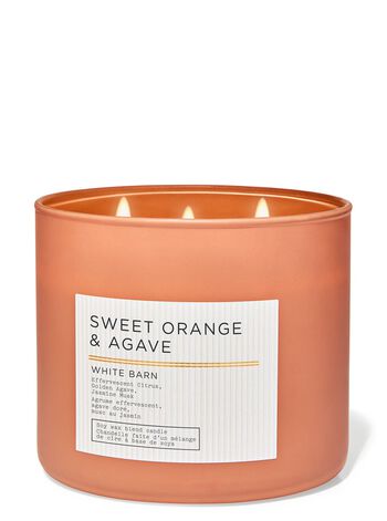 Sweet Orange & Agave 3-Wick Candle 三芯蠟燭