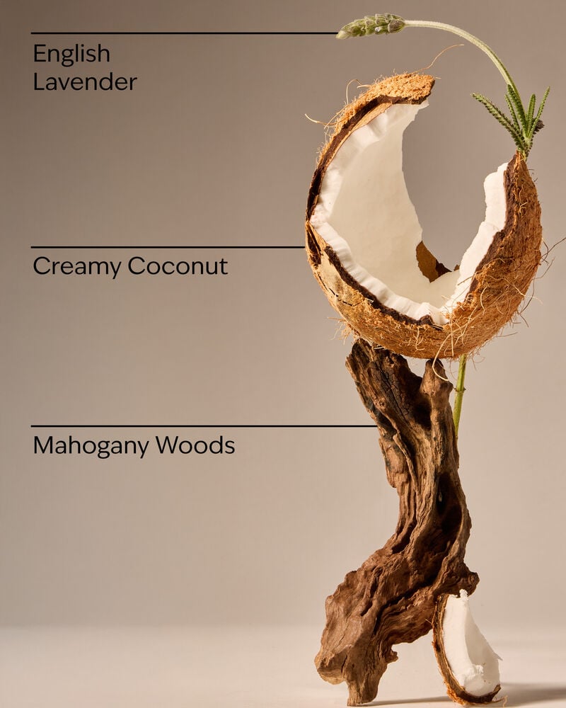 Mahogany Coconut Gentle & Clean Foaming Hand Soap 溫和泡泡潔手液