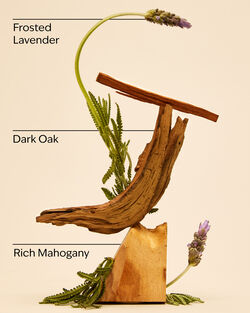 Mahogany Teakwood Hand Sanitizer Spray image number null