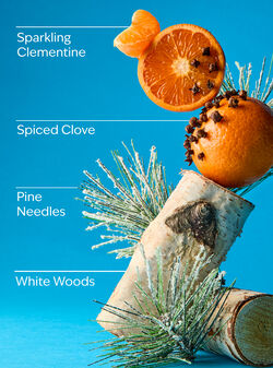 Winter Gentle & Clean Foaming Hand Soap