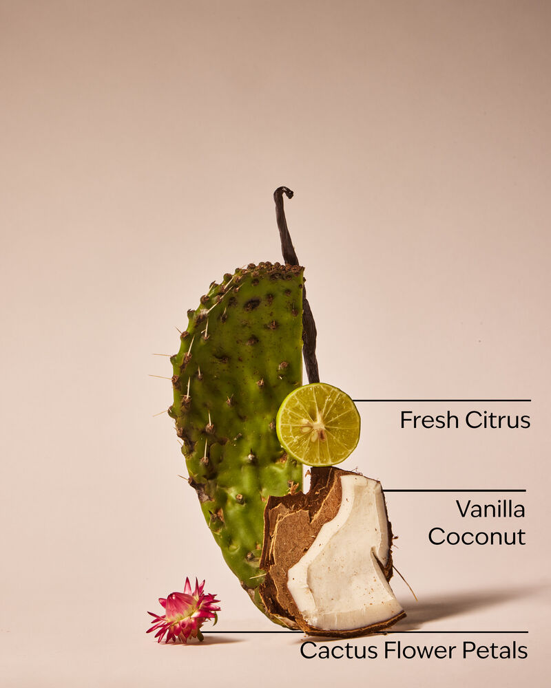 Cactus Blossom Wallflowers Fragrance Refill 香氛補充液