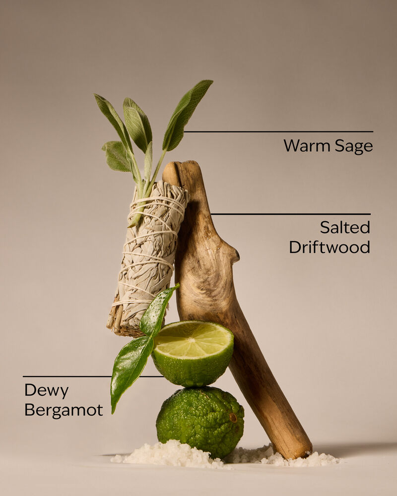 Salted Shorelines Ultimate Hydration Body Cream 極緻保濕身體乳霜