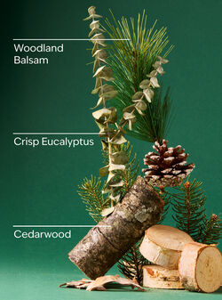 Fresh Balsam Wallflowers Fragrance Refill