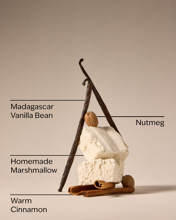 Vanilla Bean 3-Wick Candle 三芯蠟燭