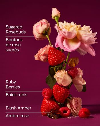 Covered In Roses Wallflowers Fragrance Refill 香氛補充液