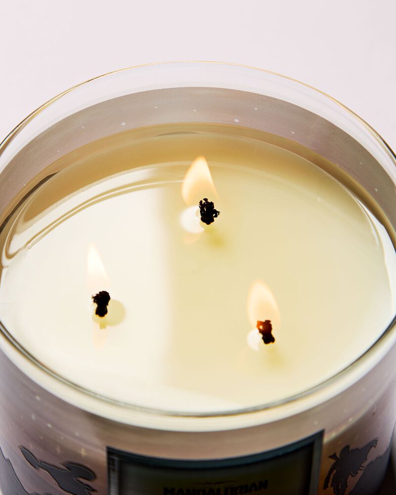 Bounty Hunter 3-Wick Candle 三芯蠟燭