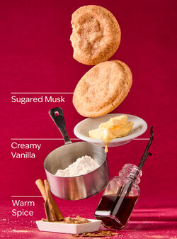 Sugared Snickerdoodle Wallflowers Fragrance Refill