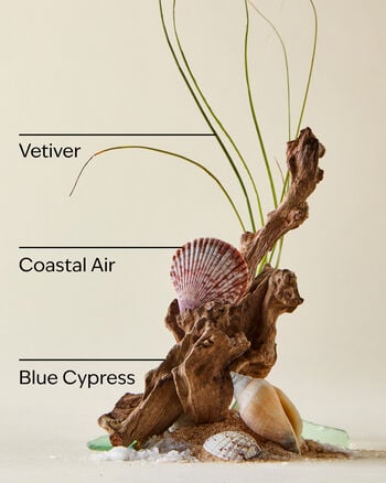 Ocean Gift Set Gift Set