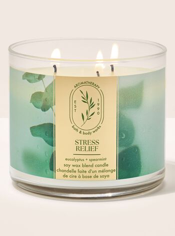 Eucalyptus Spearmint 3-Wick Candle 三芯蠟燭