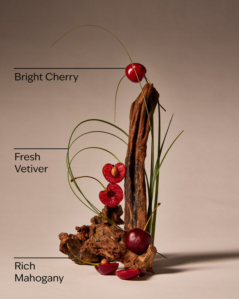 Mahogany Cherry Wallflowers Fragrance Refill 香氛補充液