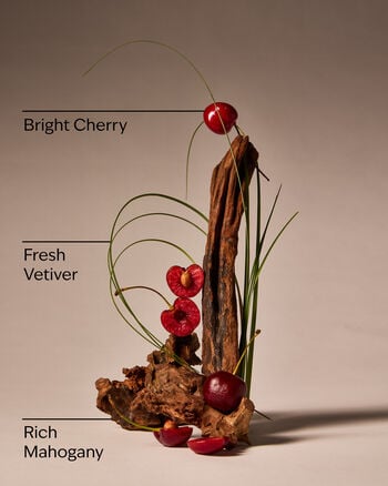 Mahogany Cherry Wallflowers Fragrance Refill 香氛補充液