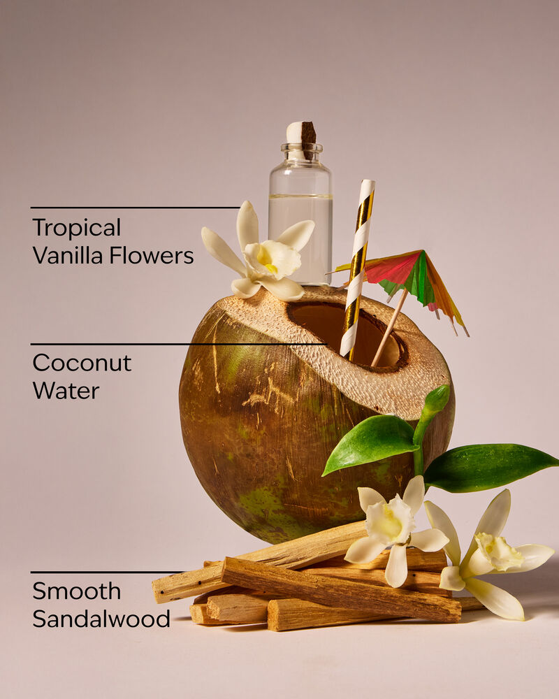 Paradise Vanilla Wallflowers Fragrance Refill 香氛補充液