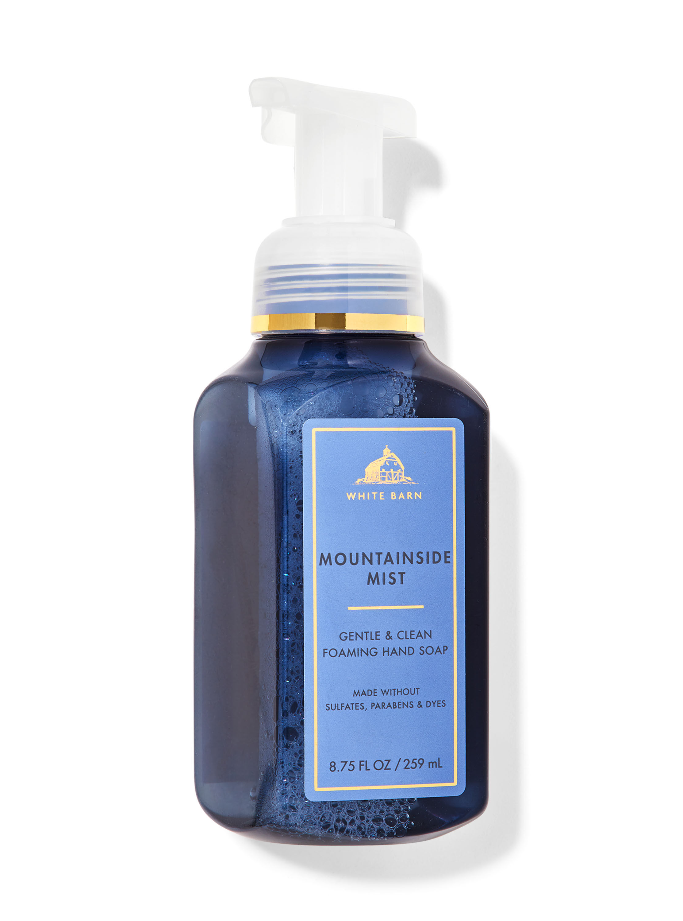 Shop Mountainside Mist Gentle & Clean Foaming Hand Soap | HK