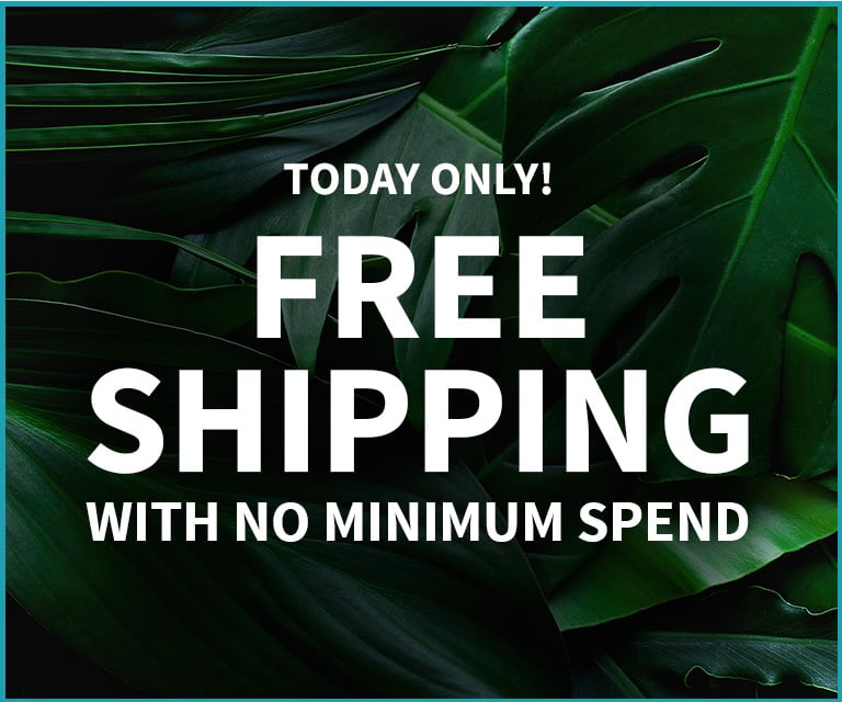 semi annual sale