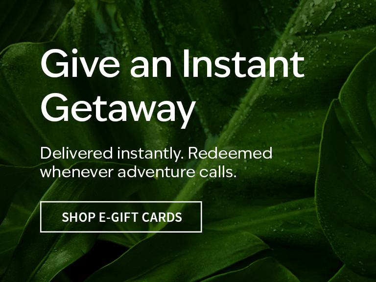 Shop E-gift Card