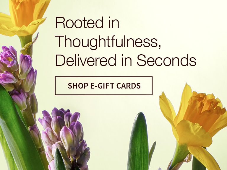 Shop E-gift Card