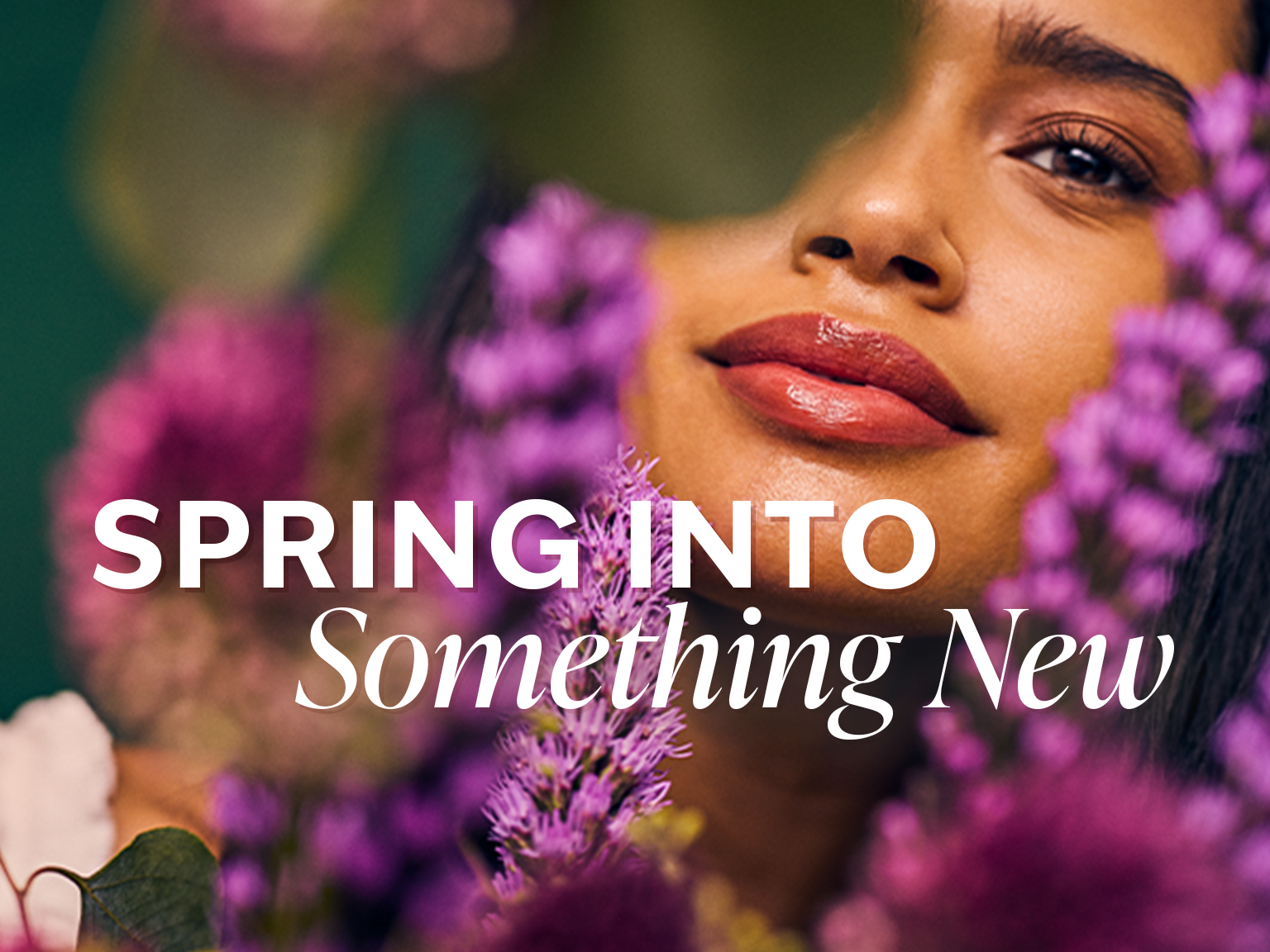 the-vanilla-collection