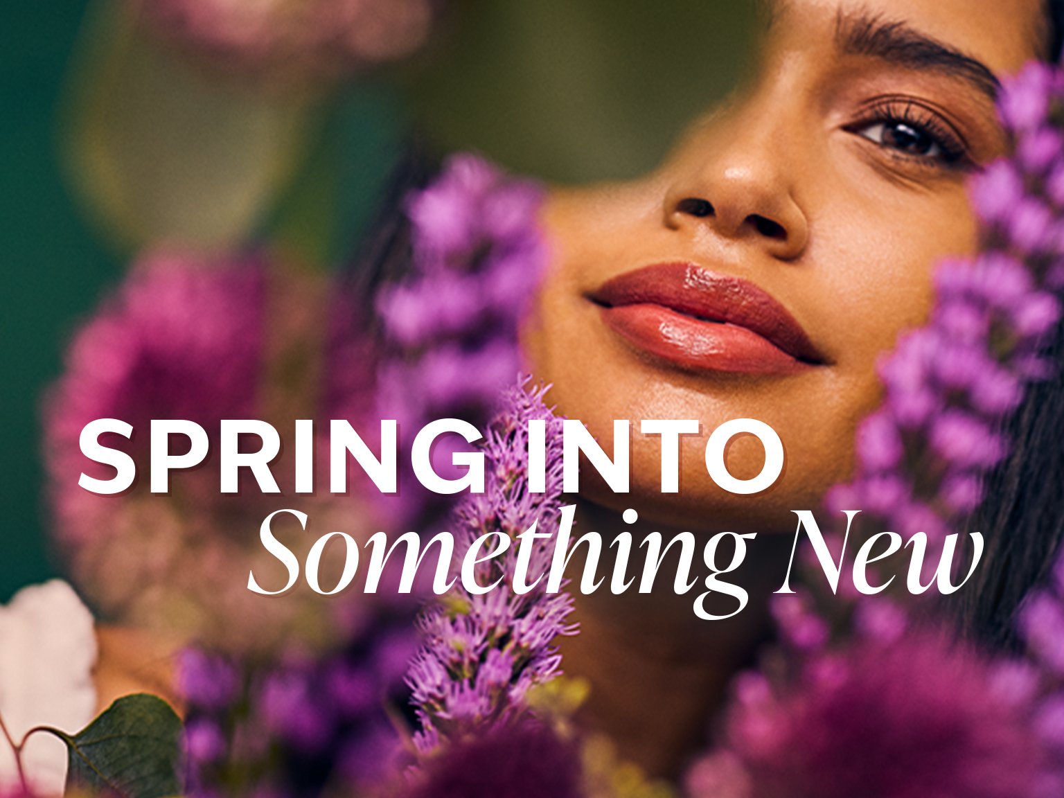 the-vanilla-collection