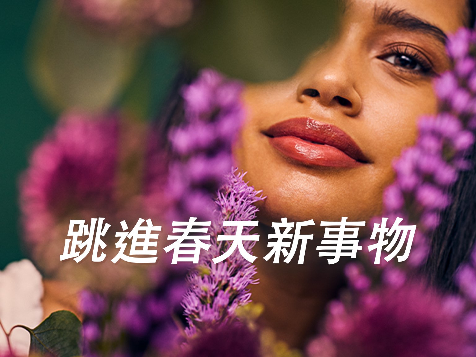 the-vanilla-collection