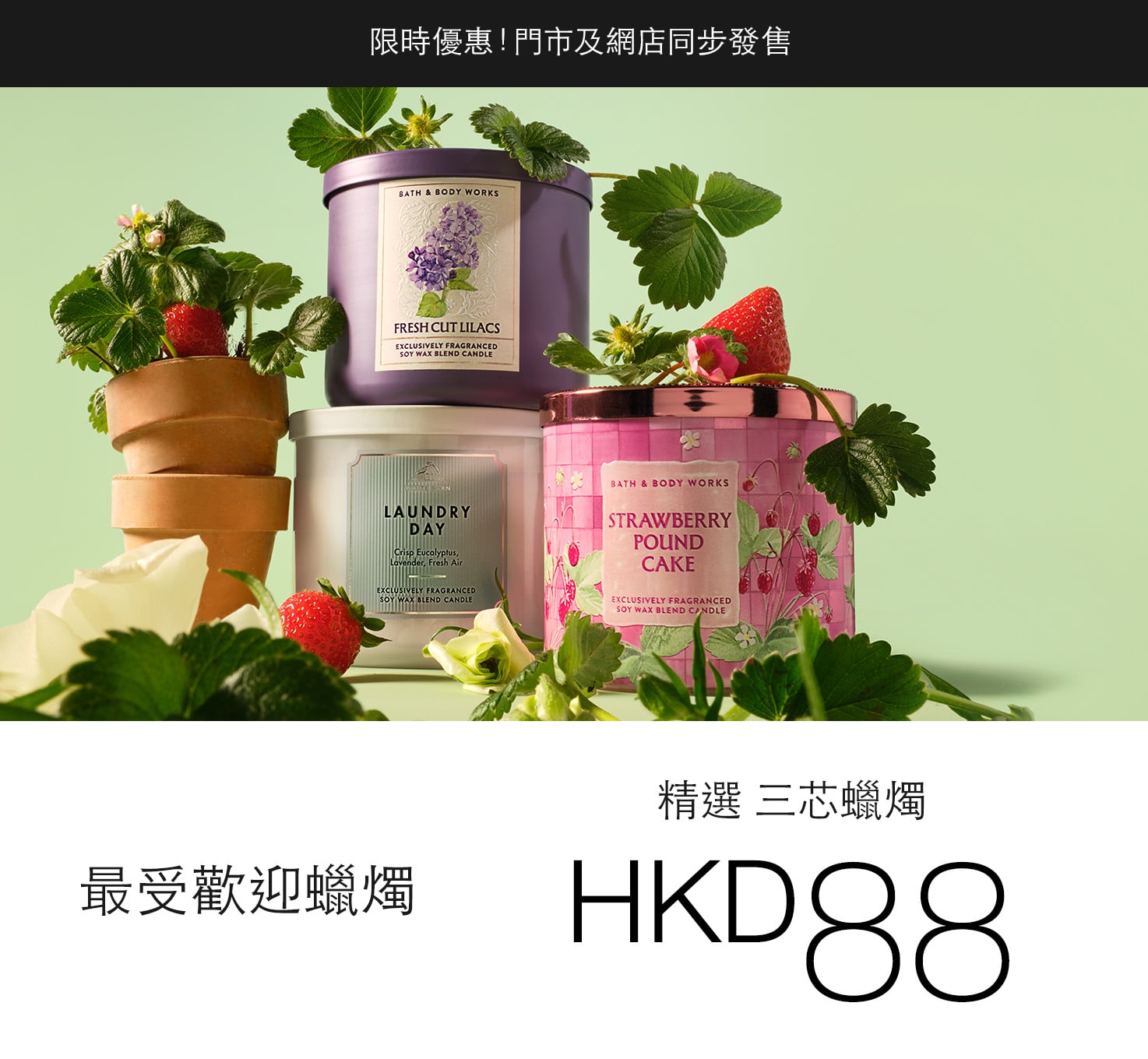 三芯蠟燭優惠及促銷| Bath & Body Works Hong Kong