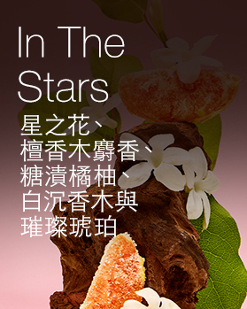 In The Stars 