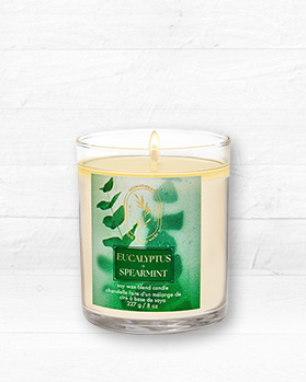 單芯蠟燭 2 件 HKD 288